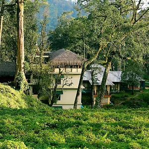 4* Resort Deep Woods